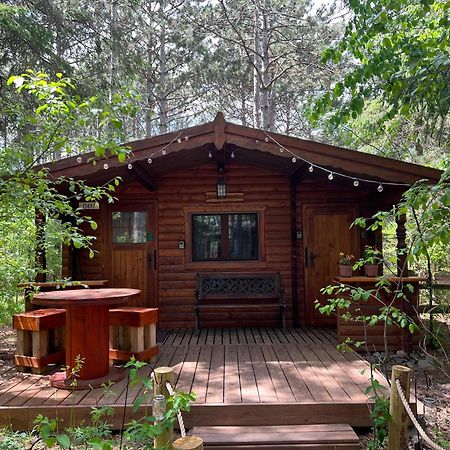 Fancy Fireflies Cabin Hayward Buitenkant foto