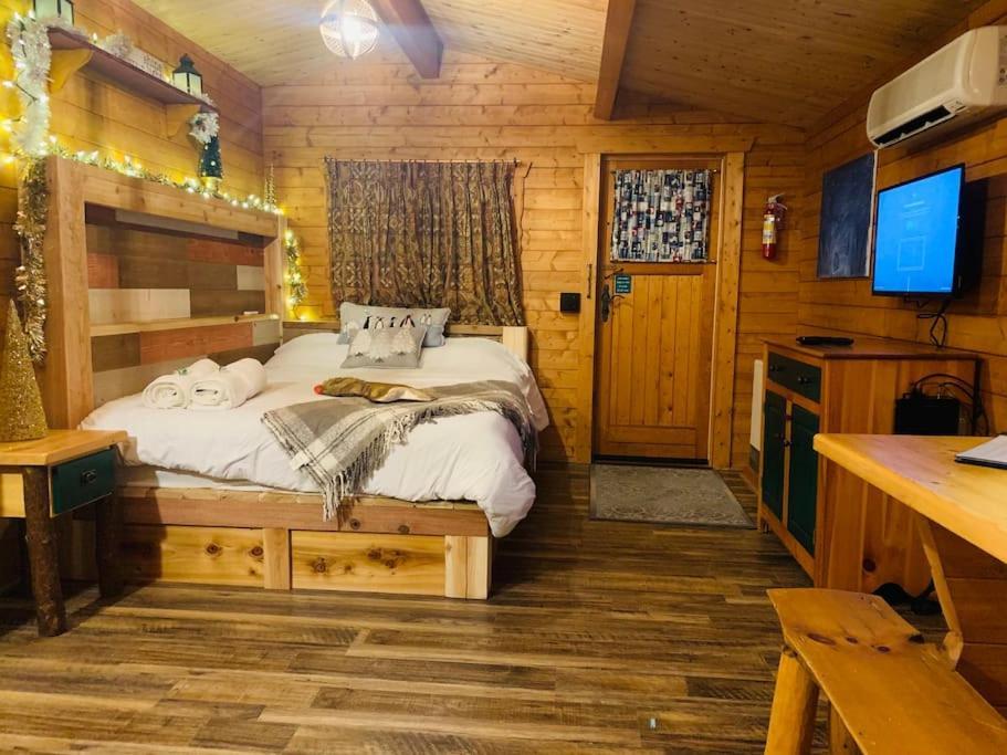 Fancy Fireflies Cabin Hayward Buitenkant foto