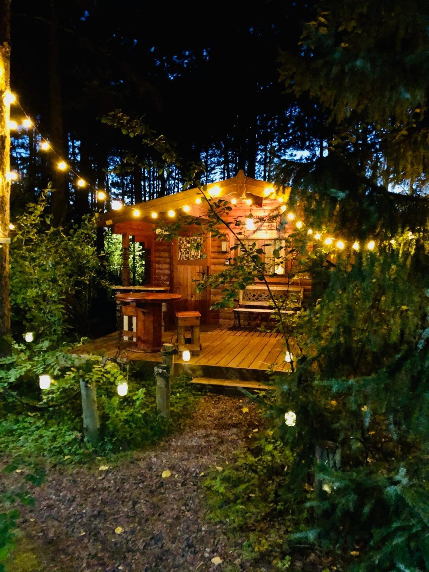 Fancy Fireflies Cabin Hayward Buitenkant foto